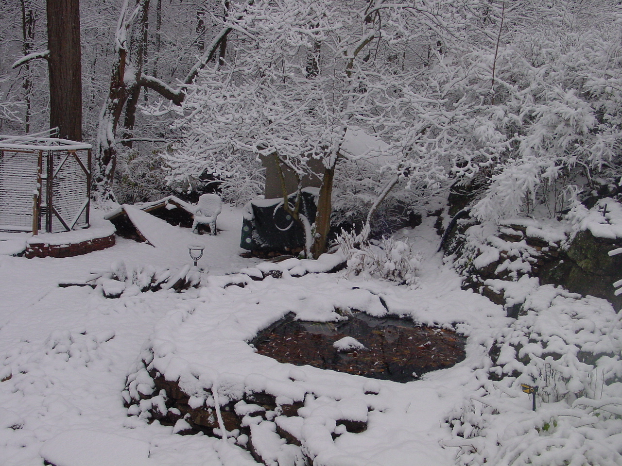 A lite snow covering