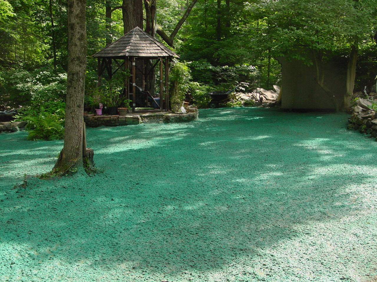 Hydroseeding