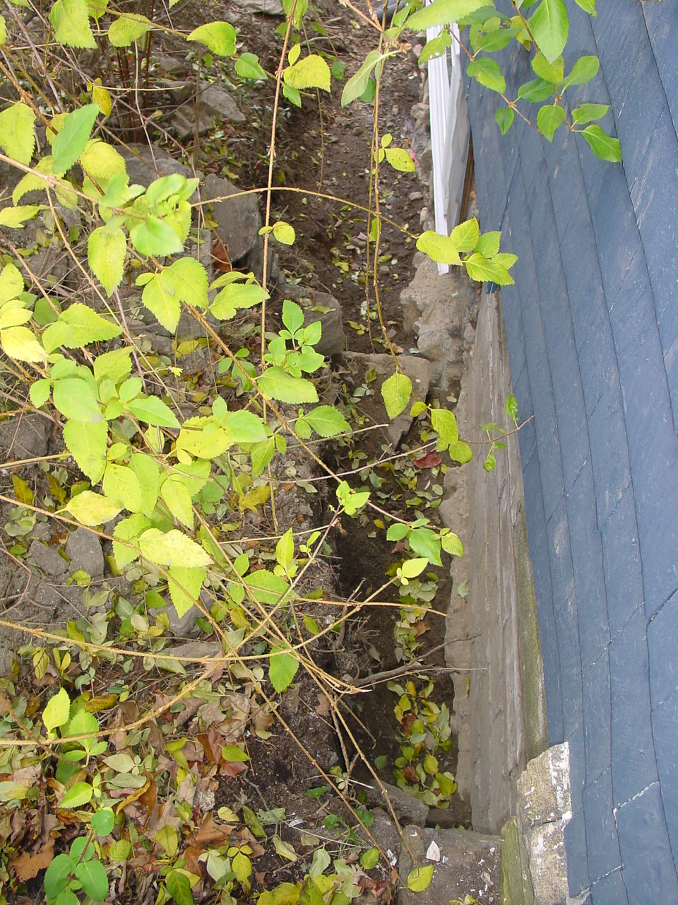 French drain digging