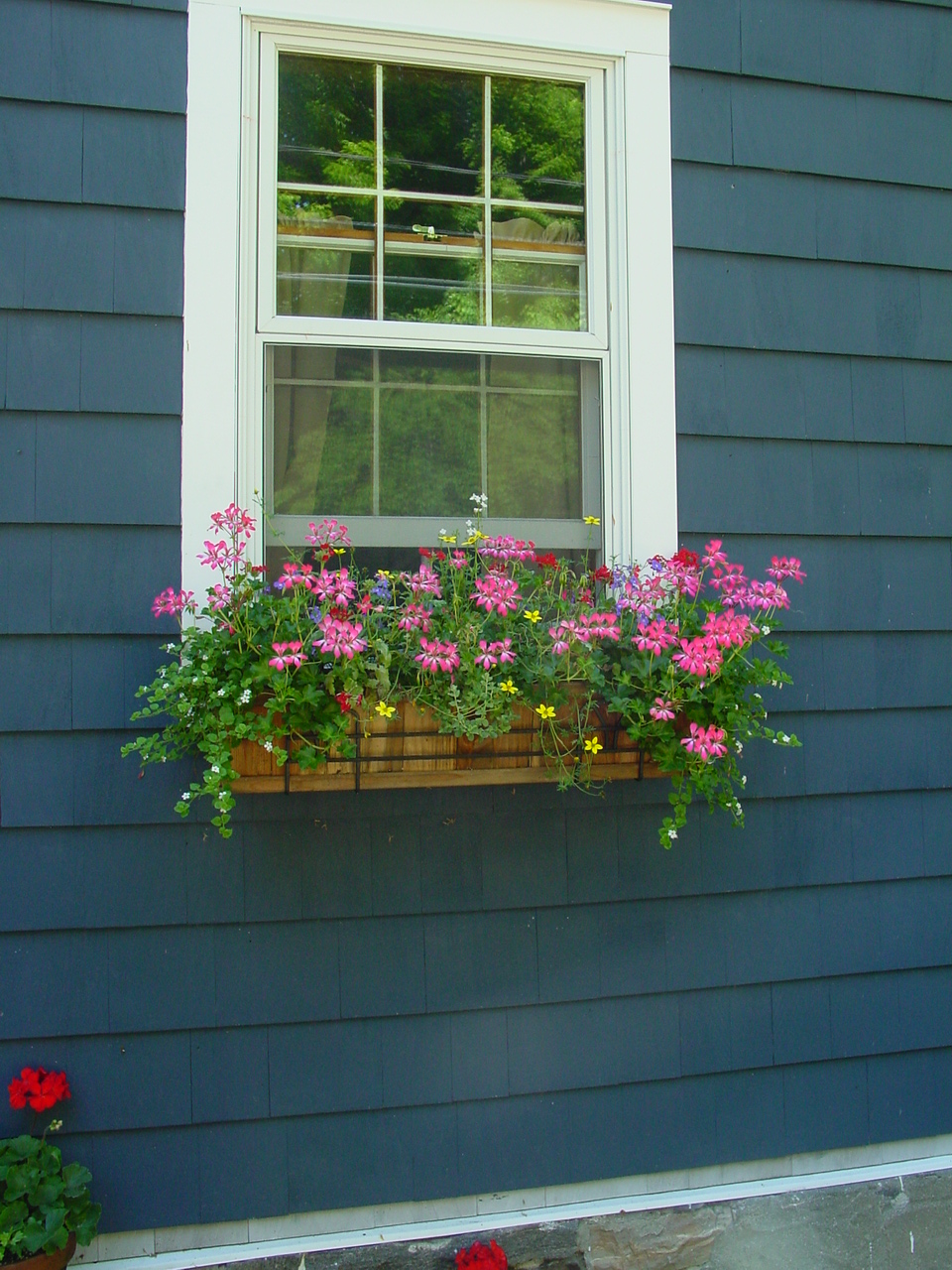Front window boxes