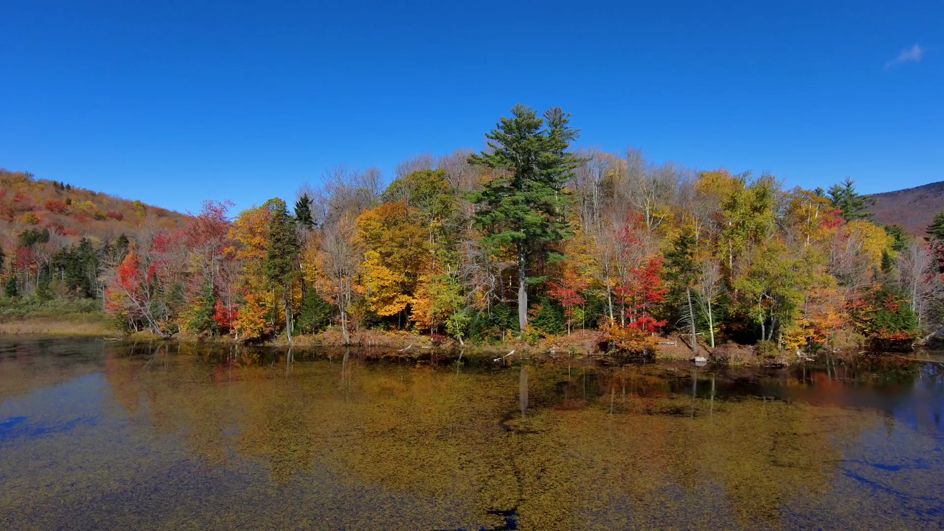  VideoCapture 20201011 224056